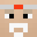 Skin head 02e033adba9da82710ef8b7c4ab6e27c
