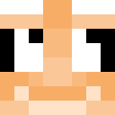 Skin head 03c50c84d5d3e7c2ac3241d38515f17a