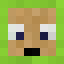 Skin head 04896b9bfe45fef32ab6ee25e7462bc9