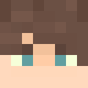 Skin head 06d3df772f89993ac32ae17606c7aa73