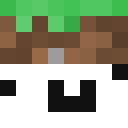 Skin head 06d5587bccfd182218c69d9b18e5e769