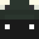Skin head 101dabfa25df30effbdd9ee4ee79a980