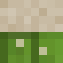 Skin head 11529757ff3e19692d7954e97ca7ce9d