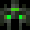 Skin head 119379b15bcd738e89f2a241d2e5cbf0