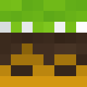 Skin head 12bb316afb64e0022df968cda08403d0