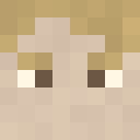 Skin head 1f0b952278868d23d235baf86c876343