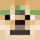 Skin head 23b83d81a54e91b62ff2d0db2afb1ef5