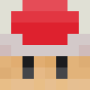 Skin head 24fc759f8c1facd6566fb7e963076702