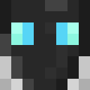Skin head 2616e0a879466790dc46c789f1c4acac
