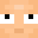 Skin head 270a52d820762c5953b5d84a35af9f42
