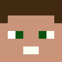 Skin head 27696a945fa54fd2c29b33970010ce85
