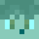 Skin head 28c6e02f9743b63412a9388b2cf88034