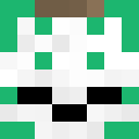 Skin head 293db5b2da08dfea89972e2495edb63e