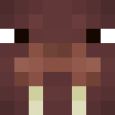 Skin head 2a0cf304f76dd775e05dfd679d219737