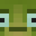 Skin head 2c91e699644773ea9f76dcddb6f2ccd5