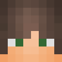 Skin head 2c963e487d12bad85e64063ef1702d73