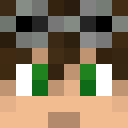 Skin head 2c9afd45f113e41380f8939a231c499c
