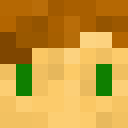 Skin head 2d243541f6016c595effe398bb081161