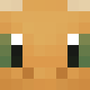 Skin head 2d343e59396e126115b28008468935a8