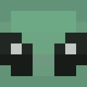 Skin head 2ed88f9b1da10b1bec8c74a551a48c18