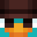 Skin head 2f5bd5aeeb7691f066ab2f882def6512