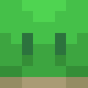 Skin head 310409361c49275fa9dd4b7b79a1de32