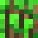 Skin head 33e3d0647e95fe9cfaa6bf9ac2f08104