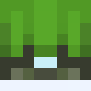 Skin head 34348ce16261a1836a266f4562504a0c