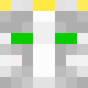 Skin head 36833a099f603cf8dd30b292995f9557