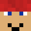 Skin head 377dc0d139c8d5613a8b8f976512e79e