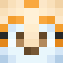 Skin head 4905a93500607c95ae0dd33004cdcaee