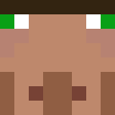 Skin head 49fc59453fa0e8e2b8acbbb5f9025eff