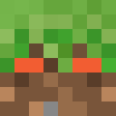 Skin head 4a188eb0df58965f419c605050a426a0