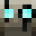 Skin head 4b18c79c4ad861e32938d97403ed5b88