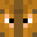 Skin head 4b85985f893a4f55159584e2cd097a90