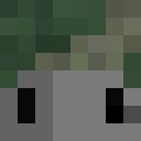 Skin head 4e345c16bafc5b0c9a818cd33094f867