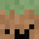 Skin head 4f909993306461c780cde9964a840182