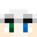 Skin head 522a6be7dece81999166ee2d8a599020
