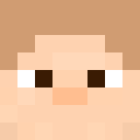 Skin head 53fe316f681097811cb4a25b6af1453d
