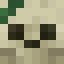 Skin head 56cb7f74ab84dd6dcd1936b67898eb13