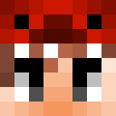 Skin head 5a73f1a4e586bb0c971cbf06670bd1ae