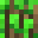 Skin head 5f33e1937619b48c9c5e51e113e0ce37