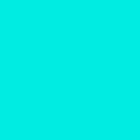 Skin head 639f9507837b7c7dca9157c7aac1de6d