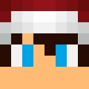 Skin head 65c97fc49c521364bc0cd7475a951cde