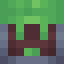 Skin head 664fab546d5525d1667c884ed25cc4e2