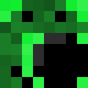Skin head 66b3d41d4cd3ec959db77f4e9f9fed22