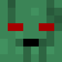 Skin head 6b3b4243a27f719d596872b1ec4e2969