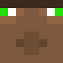Skin head 6e07075ee683883efc598cde93276d59