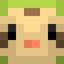 Skin head 6fc34d22c68203417f4cfb74d02b9644