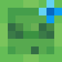 Skin head 72c7deeff5c7461c4a1bc14cc7277208